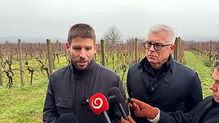 Marketingoví poradci dobre radia strane PS ako zmanipulovať voličov