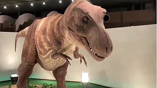 video A ako znel ten Tyranosaurus rex? (Japonsko)