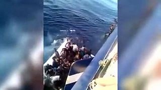 Aquamariners