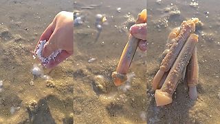 video Lov britvoviek atlantických pomocou soli