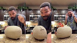 video Kúpil som si zaujímavú hračku - vajíčko dinosaura!