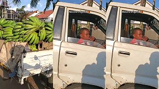 video Detská práca je v Afrike celkom bežná