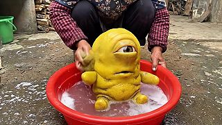 video Číňania zožerú naozaj všetko, teraz zjedli MIMOŇA!