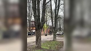 Pitbull ako povinná výbava na Ukrajine, ochránil svojho pána pred mobilizáciou