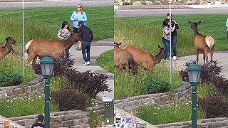 video Šmatliak s priateľkou si fotili lane, potom sa ich zľakli