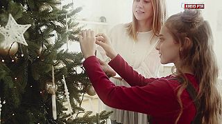 Piper - Christmas joy