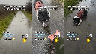 A teraz ti ukážem, aký má môj pes dobrý čuch!