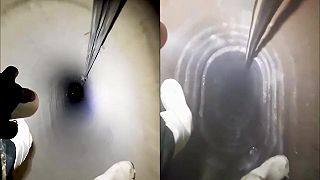 Túto prácu by ste nechceli robiť, z videa vám naskočí husia koža!