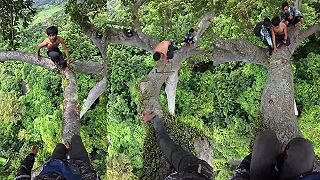 Trošku adrenalínu na poriadne vysokom strome v džungli