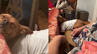 video Ale tie Vianoce sú super, veľmi mi je dobre