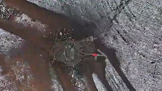 Uvarenž ruský tank
