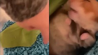 video A si ty normálna, čo ma budíš?