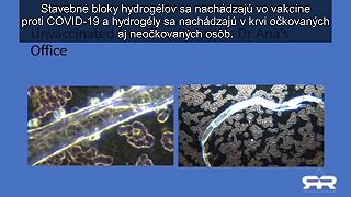 Odkaz doktorky Any Marie Mihalcea