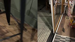 video Chudák vtáčik, musíme ho dostať von!