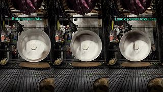 video Vakoveverička si užíva rotáciu v kolese