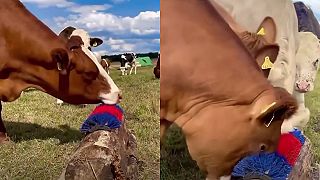 Jáj, to si sem dobre nainštaloval bráško!