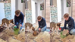 video Ty máš naozaj veľmi inteligentného psíka (tréning)