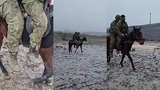 Tvrdý výcvik ruskej kavalérie