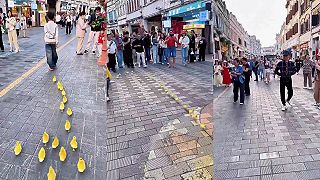 Ľudí v Číne zaujal chlapček s káčatkami