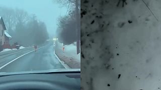Klokan — drzý porušovatel dopravních předpisů