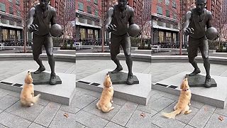 video No hodíš už, tak hodíš?