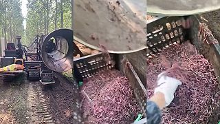 video A vy sa na čo špecializujete? My predávame DAŽĎOVKY!