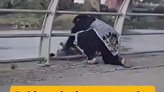 Afričanov môžeš dostať do Európy, ale tu afriku z nich nikdy nedostaneš