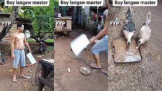 video Muž dopraje občas kačkám aj dezert (Filipíny)