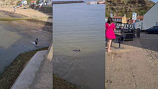 video Hej Milo, môžeš mi prosím ťa urobiť láskavosť?