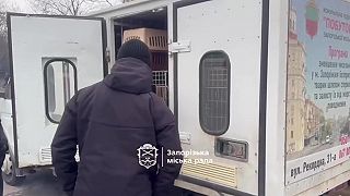 Rusi zbombardovali ďalší útulok pre zvieratá (2026)