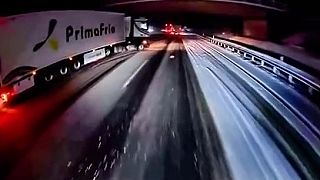 Španiel na zasneženej diaľnici