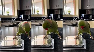 video Pikabu, teraz ma vidíš a teraz už nie!