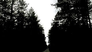 Solar Fields - The Road To Nothingness
