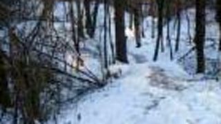 Ja v zime DH vistler 2010