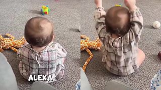 video Alexa, zahraj GASOLINA!