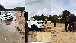 video Odťahovku v meste nemáme, ale poznám chlapíka, čo má SLONA!