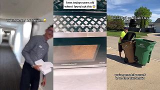 video Veď ty si génius, normálne je ťa tu škoda!