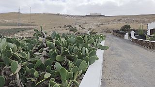 Kaktusová záhrada vo Femés, Lanzarote 4K