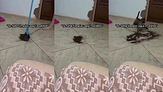 video Tak človek sa tu snaží upratať a pozri na tú pič*vinu mačacú