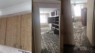 video Muž sa vrátil do svojho bytu po 3 rokoch a zistil, že zabudol zavrieť okno (ŠOK)