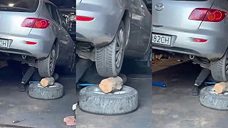 video Poľský mechanik verí v poleno!