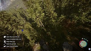 Forest - Našiel som tajný launch pad :D