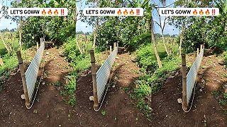 video Konečne som zistil, ako toho psa zabaviť