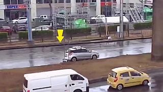 video Ak by za volanom sedel orangutan, dalo by sa to ešte pochopiť