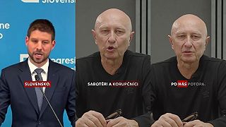 Zoroslav: Keby hlúposť kvitla, volala by sa progresívne slovensko