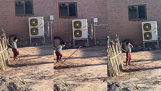 video HRABLE (lekcia naučená)