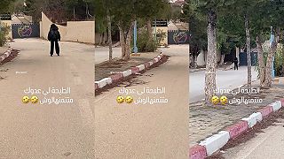 video Myslíš si, že takto sa naučí korčuľovať?