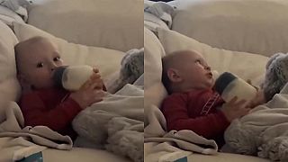 video Do psej matere, to ma musíš takto budiť?