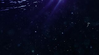 Alok & Khalid - Dive Into Me