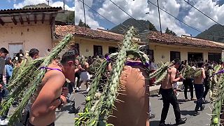 video V Michoacáne nosia veriaci počas Veľkej noci na holom tele ostnaté kaktusy